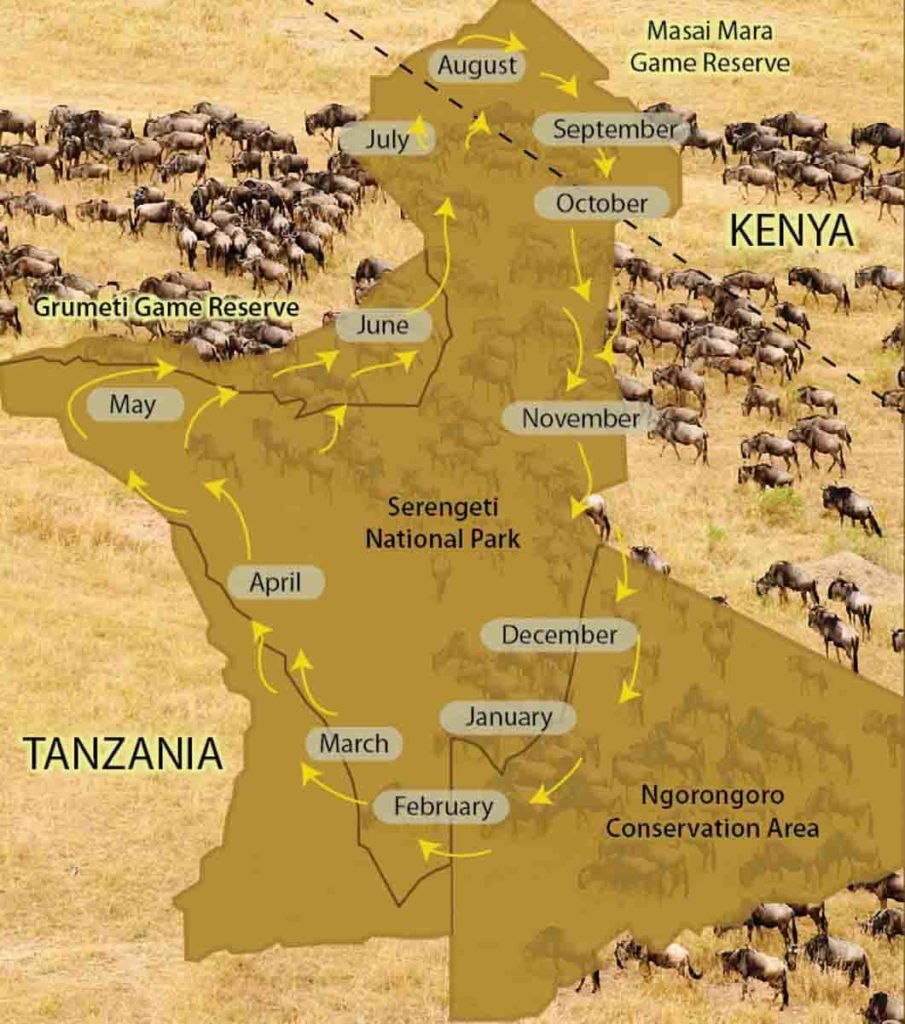 Gran migracion - Agencia viajes Tanzania