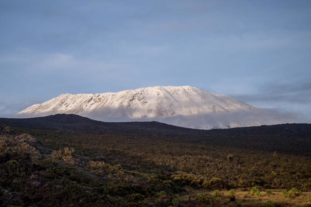 Lemosho kilimanjaro Agencia de viajes Africaatumedida