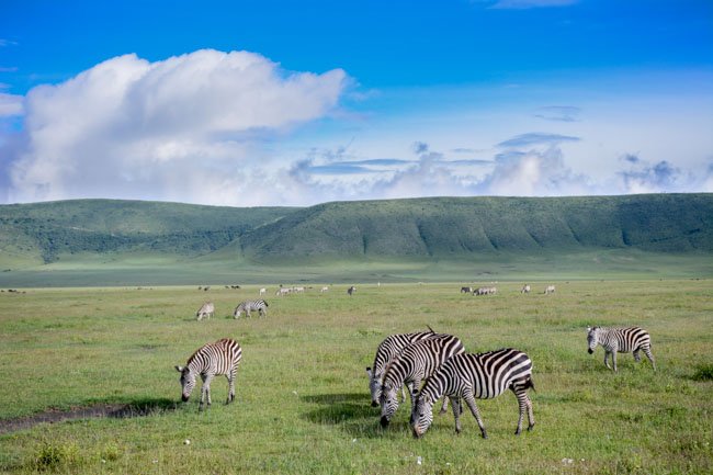 Paisaje - Ngorongoro - Africaatumedida