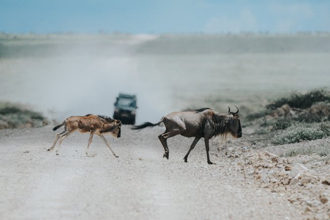 Parque Nacional Serengeti