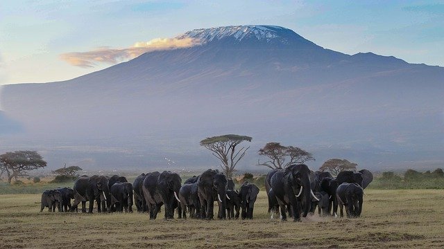 Parque Nacional Amboseli en Kenia