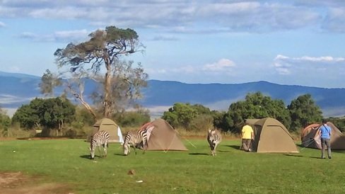 alojamiento camping tanzania