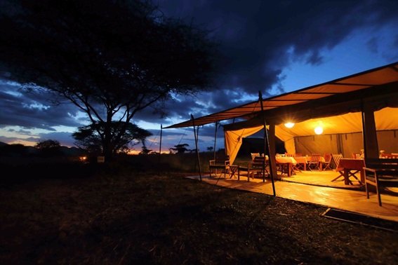 alojamiento tented camp tanzania rio mara